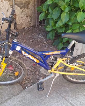 Mountain bike da ragazzo Esperia Excalibur