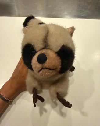 Peluche Trudi Procione