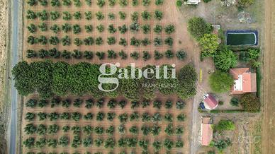 Villa o villino Roma [Cod. rif 3215628VRG]