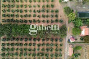 Villa o villino Roma [Cod. rif 3215628VRG]