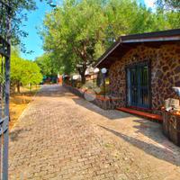 VILLA SINGOLA A PISCIOTTA