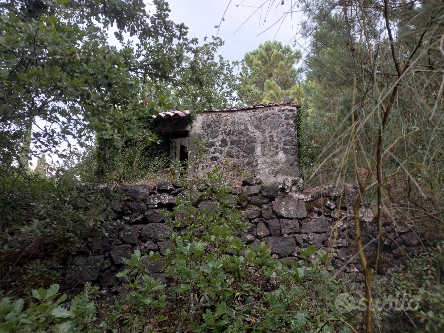 Rifugio Etna: Terreno Recintato Muretto a secco - Vista 3