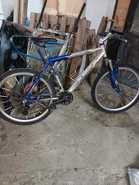 bicicletta mtb
