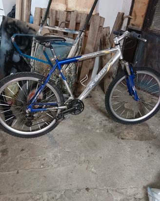 bicicletta mtb