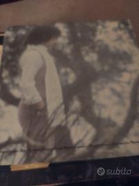 LP in vinile 33 giri 