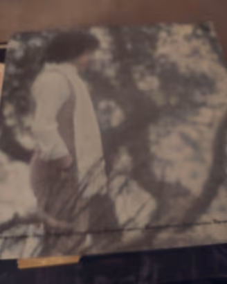 LP in vinile 33 giri 