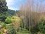 Immagine 23