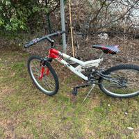 bicicletta bambino
