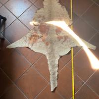 Tappeto in vera pelle di canguro