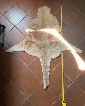 Tappeto in vera pelle di canguro