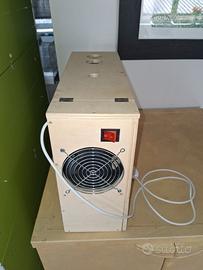 SOFFIA SEMI canarini