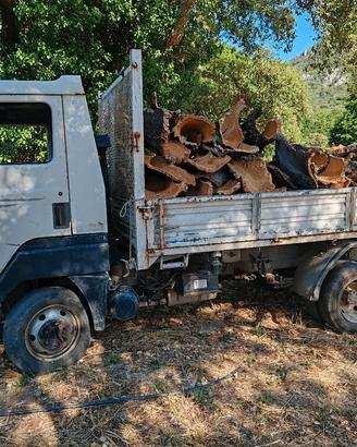Nissan eco t100