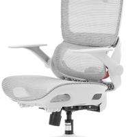 SIHOO Sedia da ufficio ergonomica B100 Lite