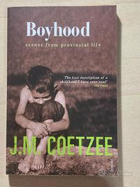 Boyhood - J.M. Coetzee