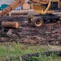 Ragno per legno