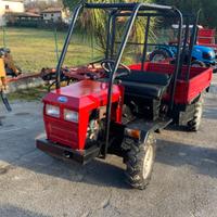 MOTOAGRICOLA DURSO USATA MOTORE BICILIND. 17 CV