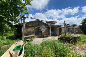 RUSTICO A PALESTRINA