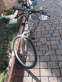 Bicicletta montain bike da bambino/ragazzino