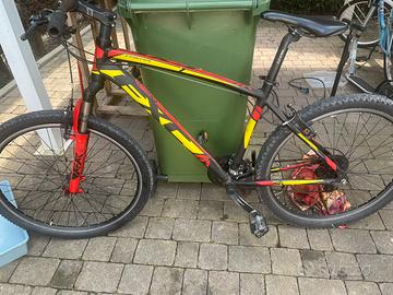 bicicletta mountain bike frera