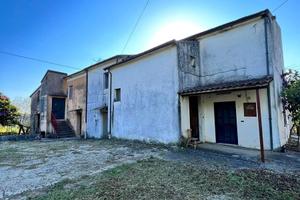 Casa - Tenuta Casino - Casale di campagna