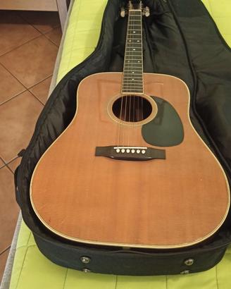 Chitarra acustica Aria D60