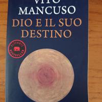 Dio e il suo destino, vito mancuso