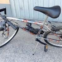 Bici  mountain bike