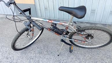 Bici  mountain bike