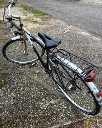Bicicletta uomo BOTTECCHIA