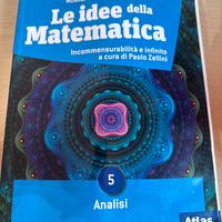 libro “le idee della matematica “