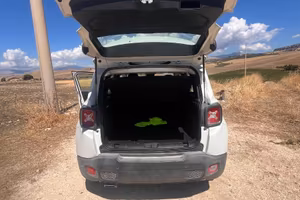 Jeep renegade 1.6