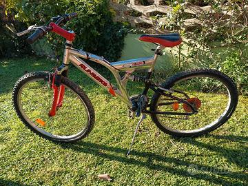 Bicicletta Mountain bike 