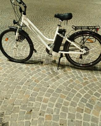 bici elettrica 