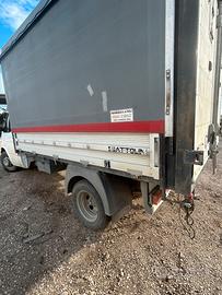 Vendita Ford Transit centinato