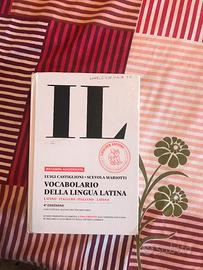dizionario
