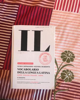 dizionario