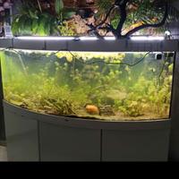 juwel vetro panoramico, mobile, lampade, bombola