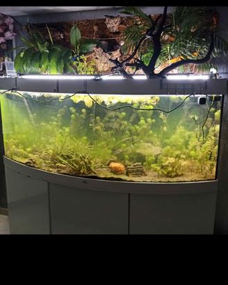 juwel vetro panoramico, mobile, lampade, bombola