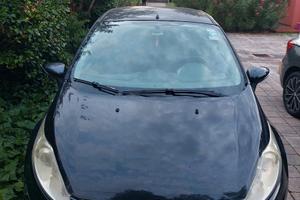 Ford Fiesta 1.4 GPL 2010 - Ben tenuta - 230.000 km