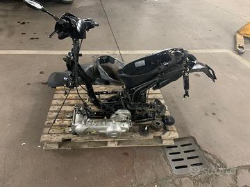 ricambi typhoon 50 smembro scooter