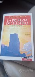 La profezia di Celestino
