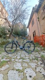 bici pedalata assistita cult 