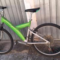 bicicletta ammortizzata 