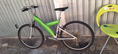 bicicletta ammortizzata 