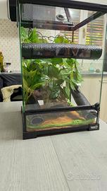 Terrario decorato 30×30×45