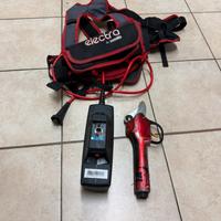 Forbice ausonia electra