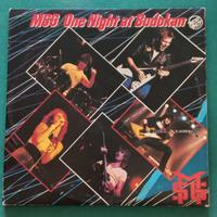 Disco vinile doppio live MSG