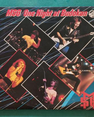 Disco vinile doppio live MSG