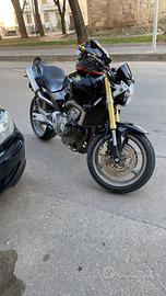 Hornet 600