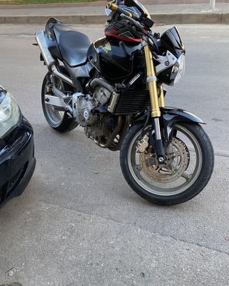 Hornet 600
